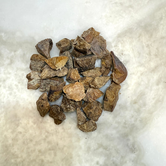 Pork Kidney