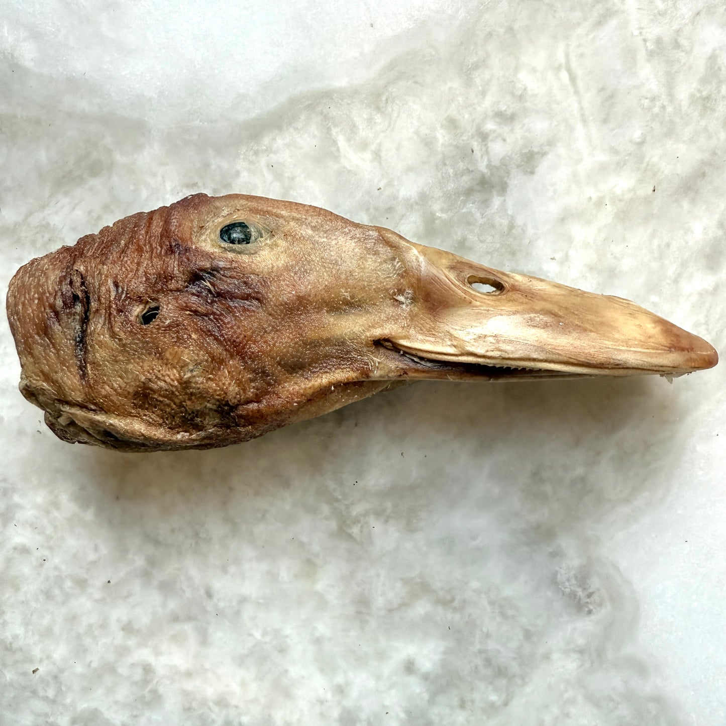 Duck Heads