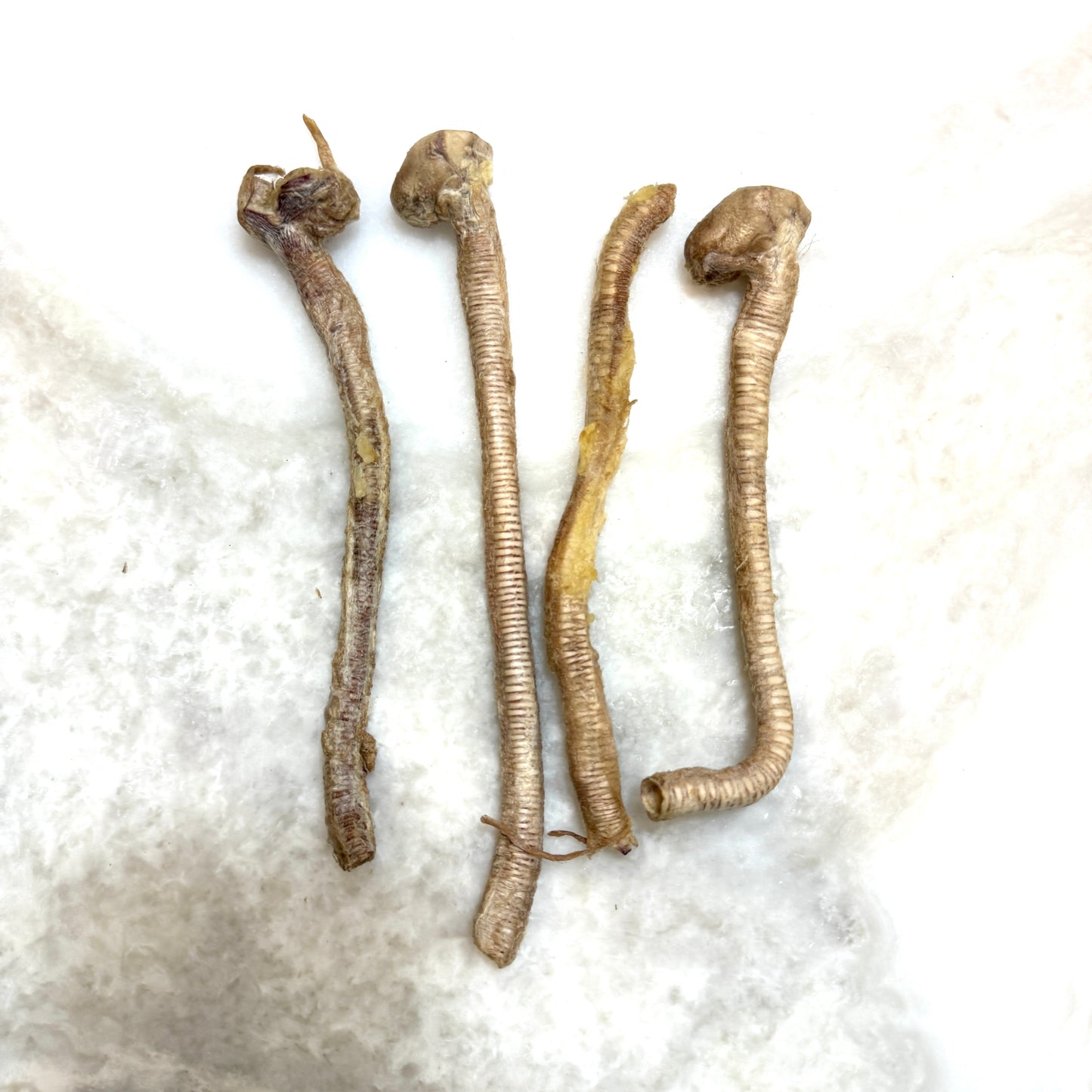Duck Tracheas - Freeze-Dried Treats for Dogs & Cats