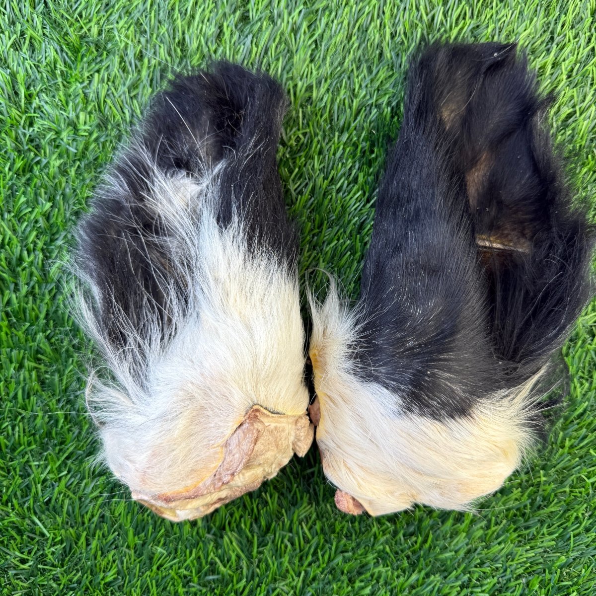 Freeze-Dried Beef Cow Hairy Ear Chew for Dogs