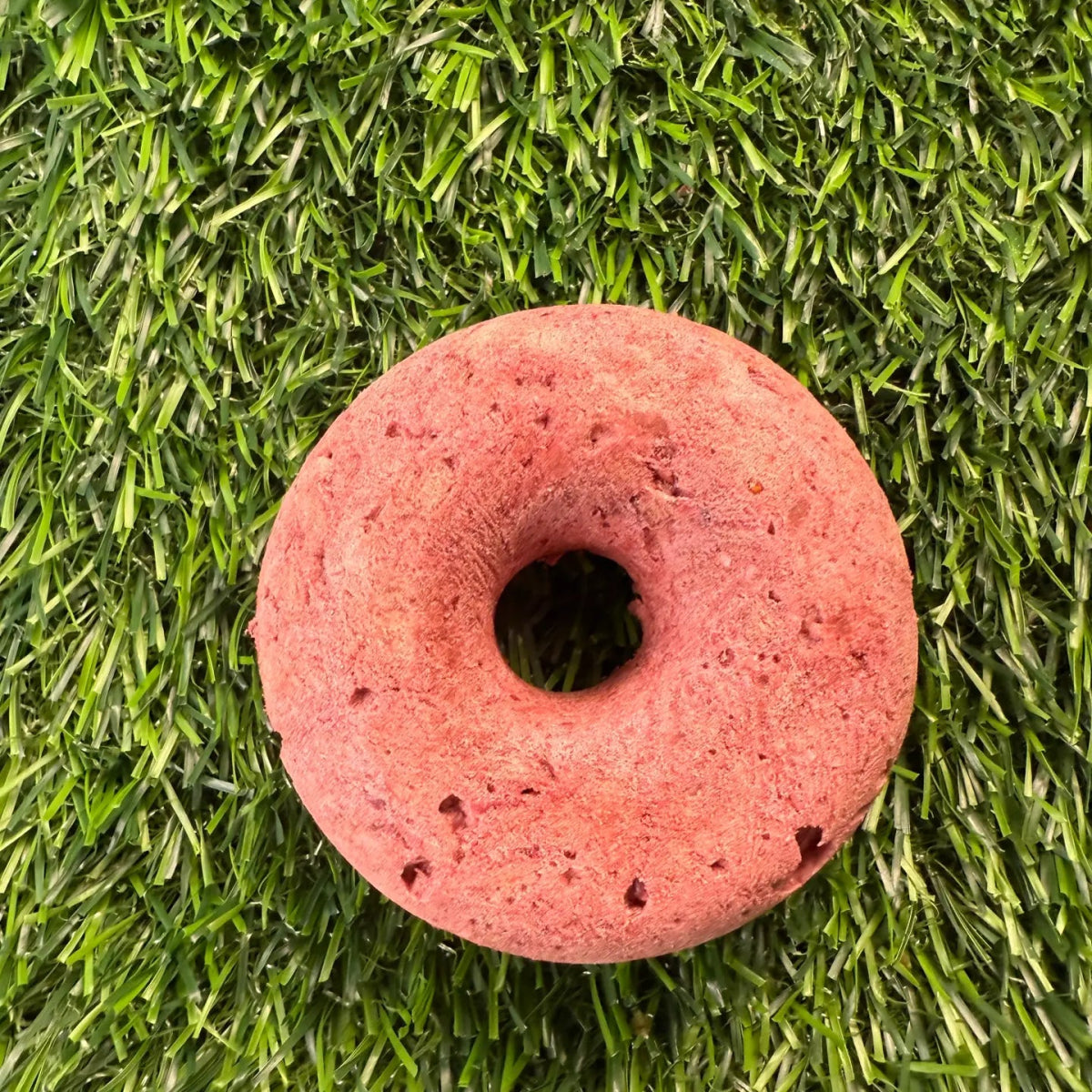 Donut - Turkey & Cranberry