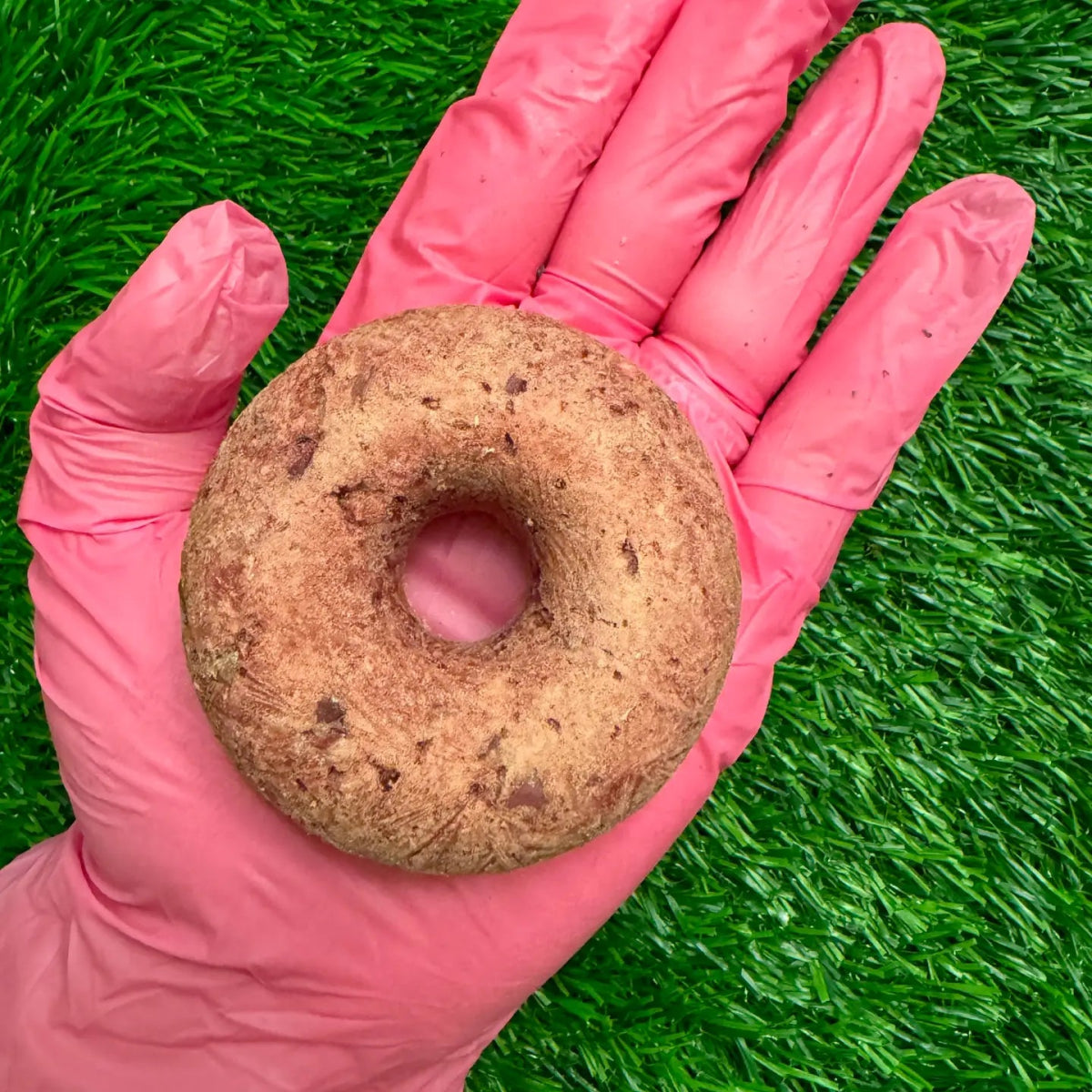 Donut - Turkey & Cranberry
