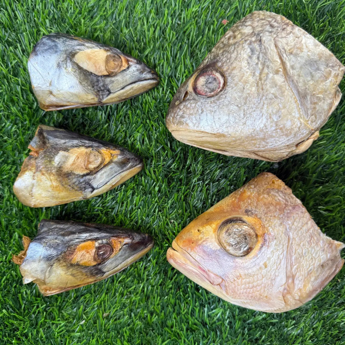 Freeze-Dried Fish Heads