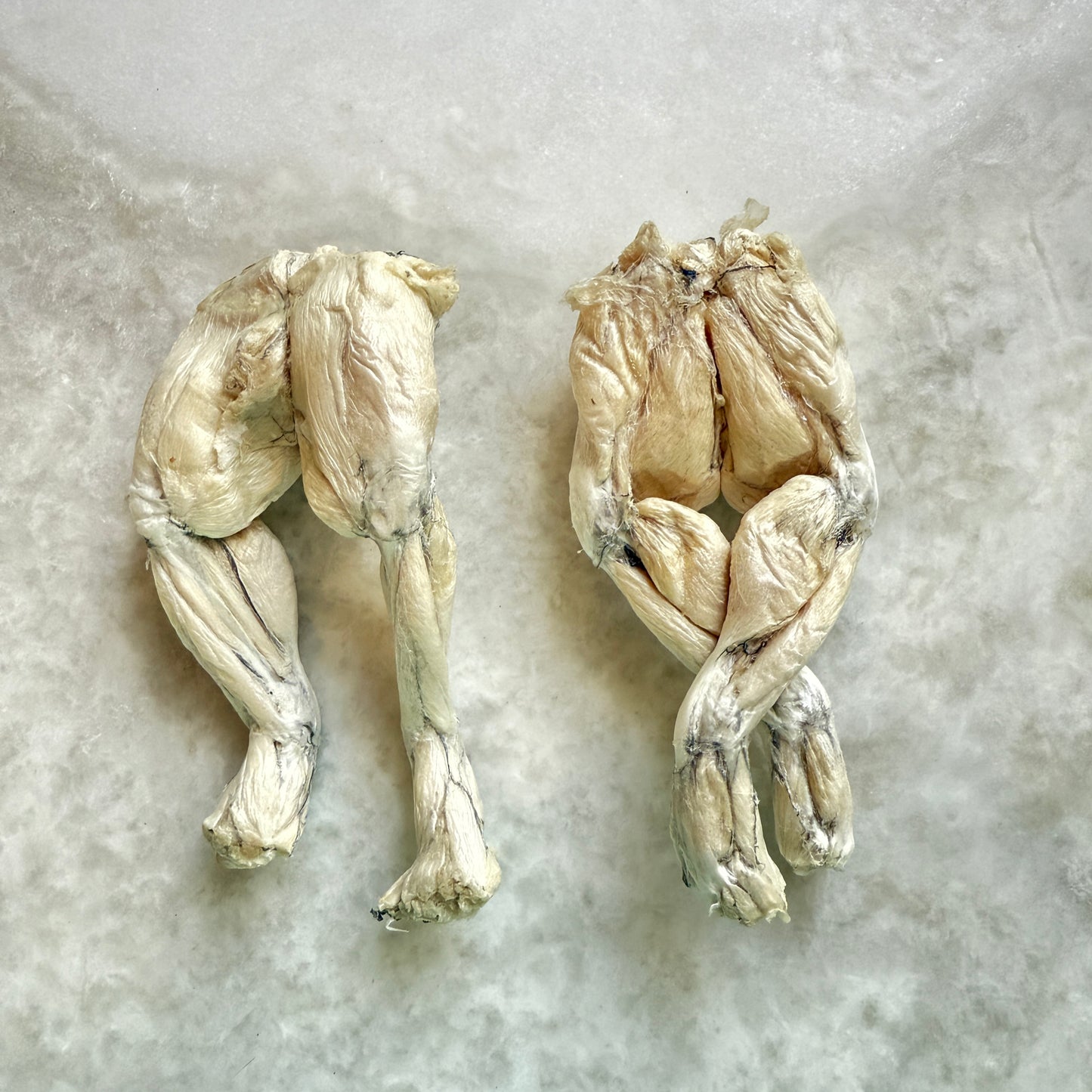 Frog Legs