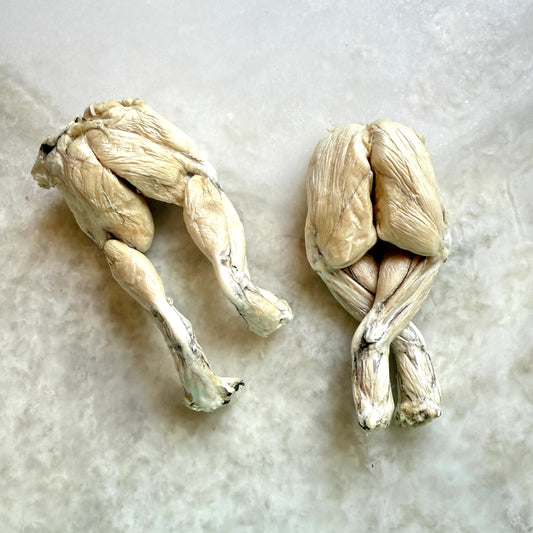 Frog Legs - Freeze-Dried Treats for Dogs & Cats