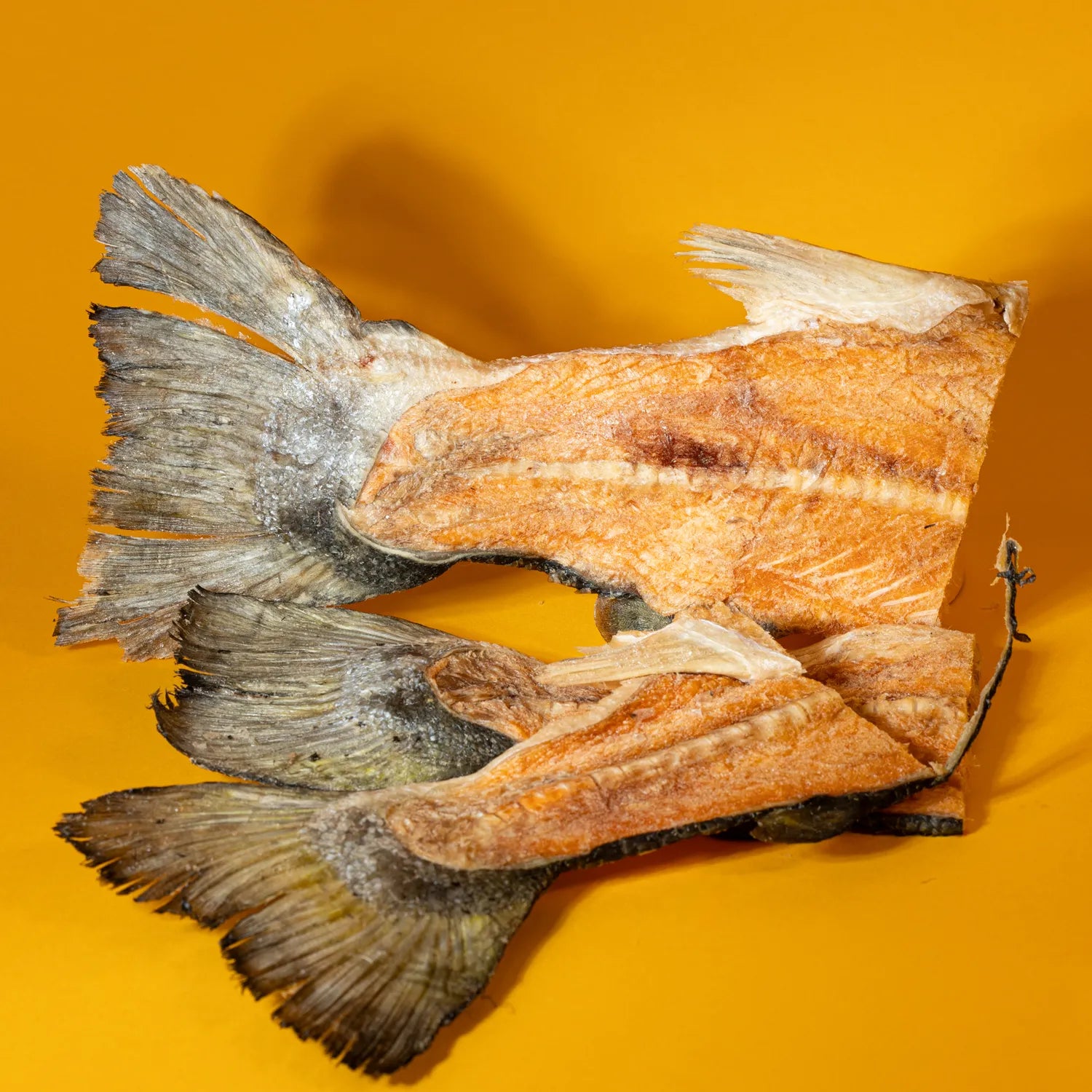 Freeze - Dried Salmon Mermaid Tail Chews for Dogs - Wholesale - Golden Nibbles