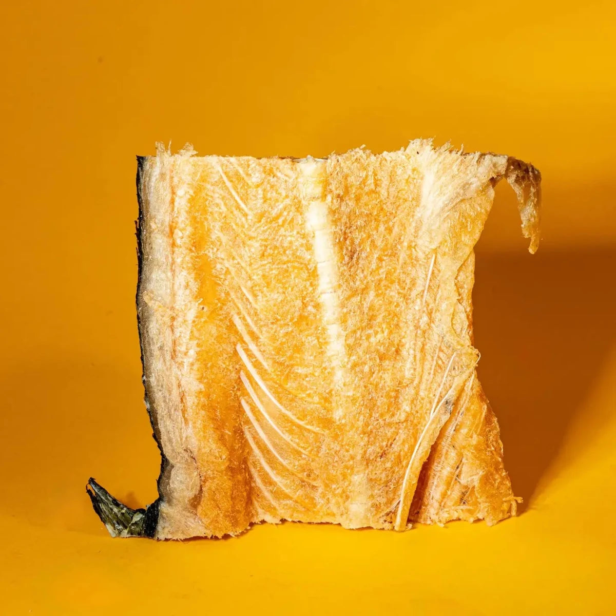 Freeze-Dried Salmon Backs Chews for Dogs - Golden Nibbles