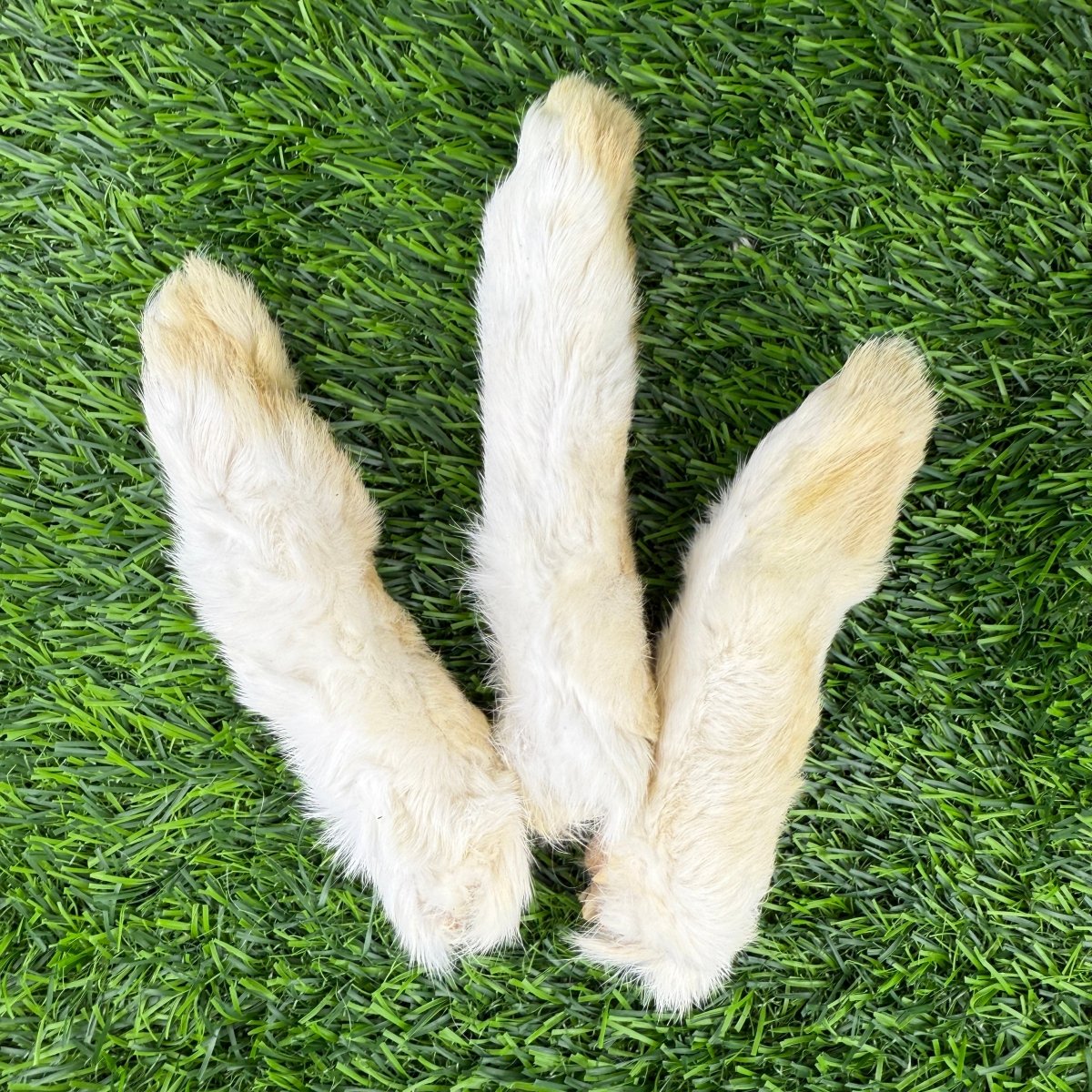 Freeze-Dried Rabbit Feet (Back Feet - Large)