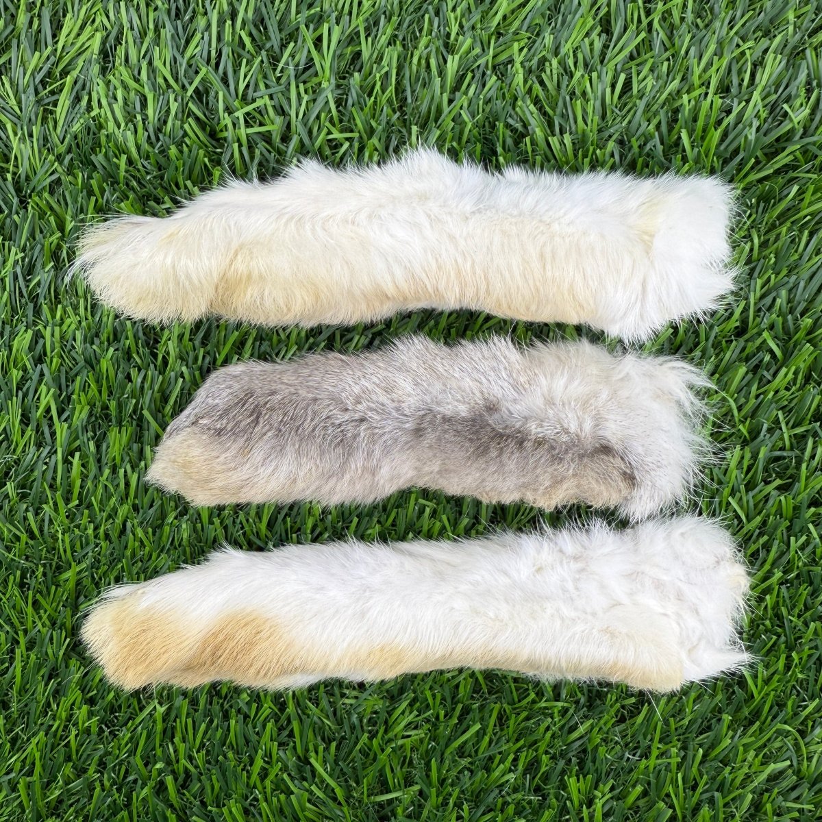 Freeze-Dried Rabbit Feet (Back Feet - Large)