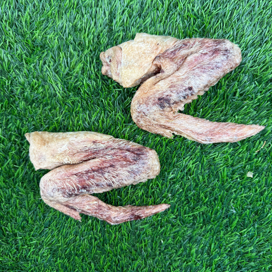 Duck Wing
