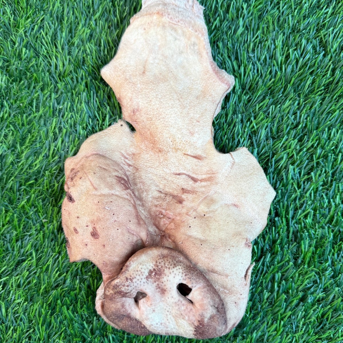 Freeze-Dried Pig Snout