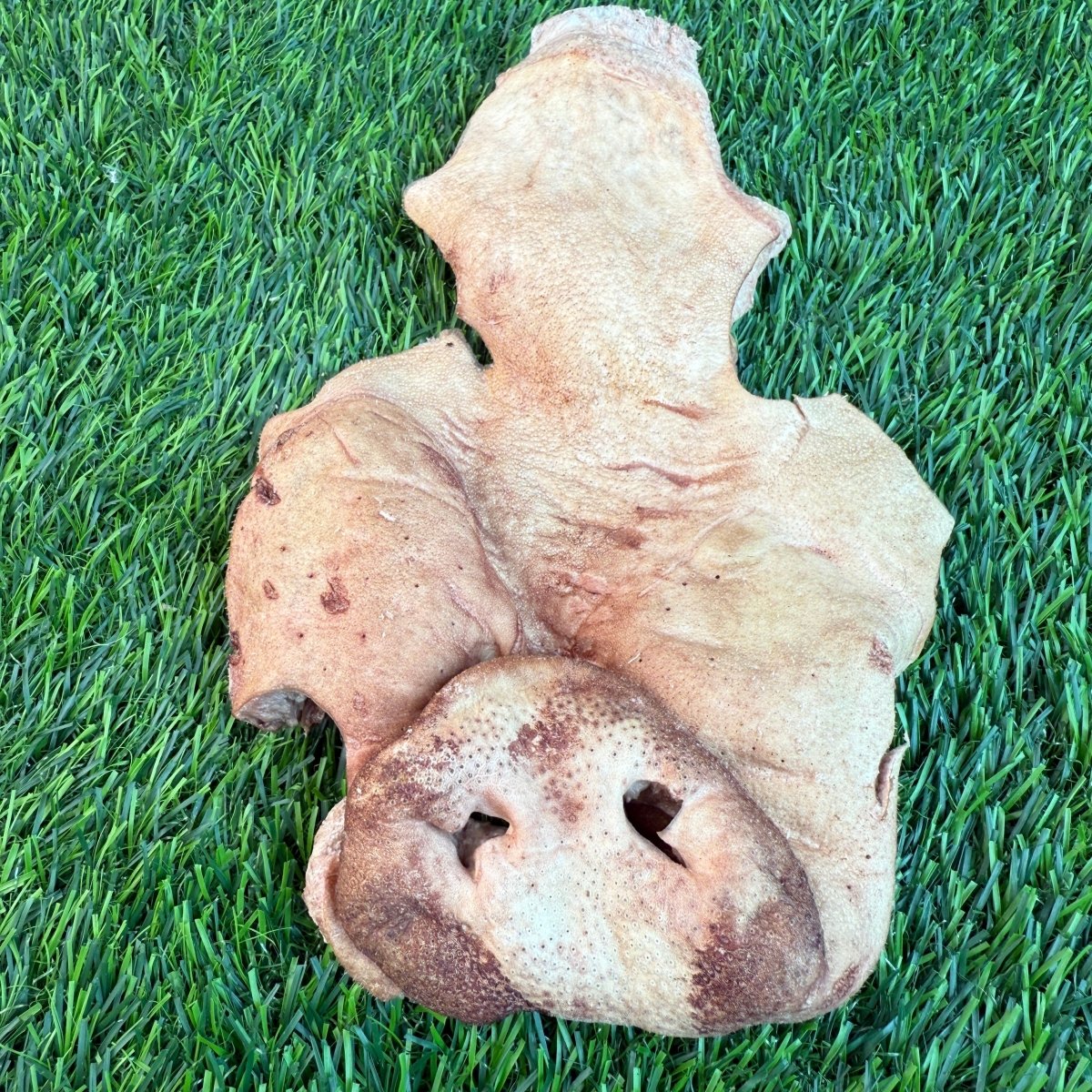 Pig Snout