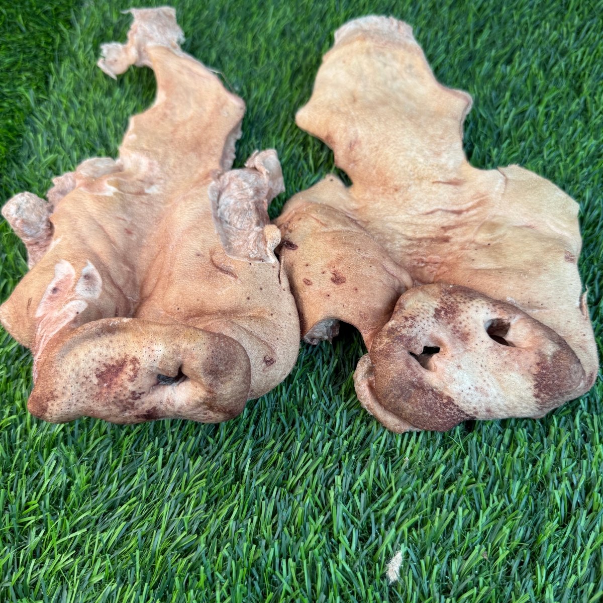 Freeze-Dried Pig Snout