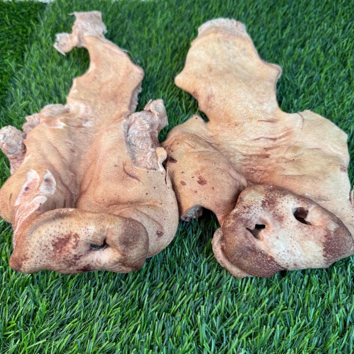 Freeze-Dried Pig Snout