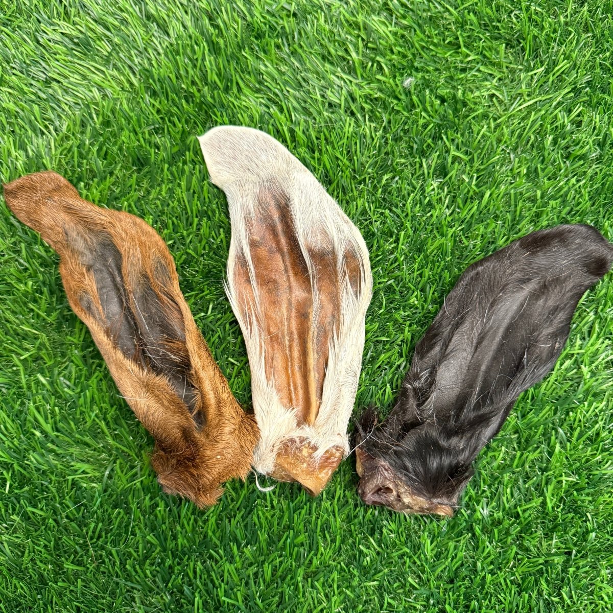Goat Hairy Ear Chew for Dogs – Limited - Golden Nibbles