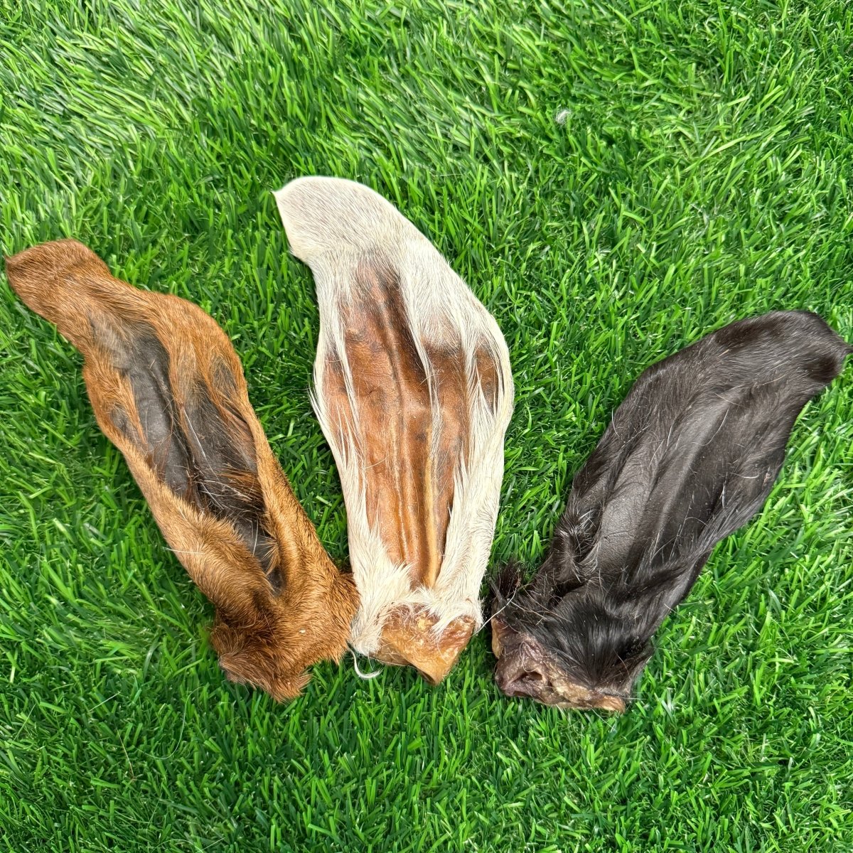 Goat Hairy Ear Chew for Dogs – Limited - Golden Nibbles