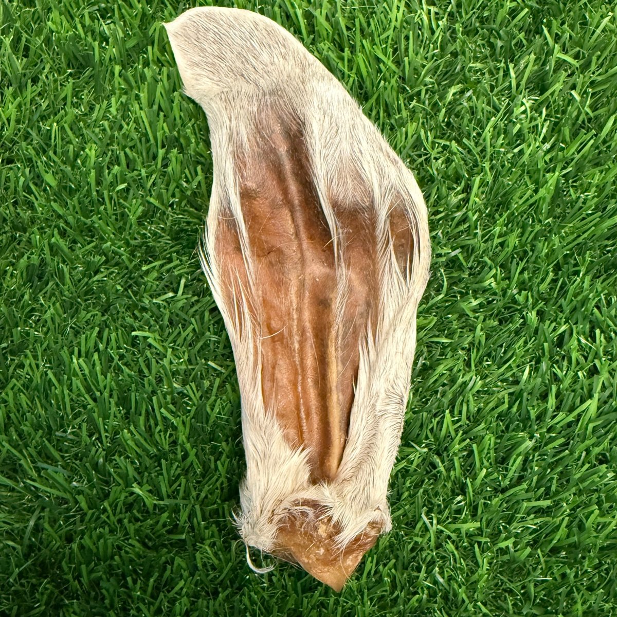 Goat Hairy Ear Chew for Dogs – Limited - Golden Nibbles