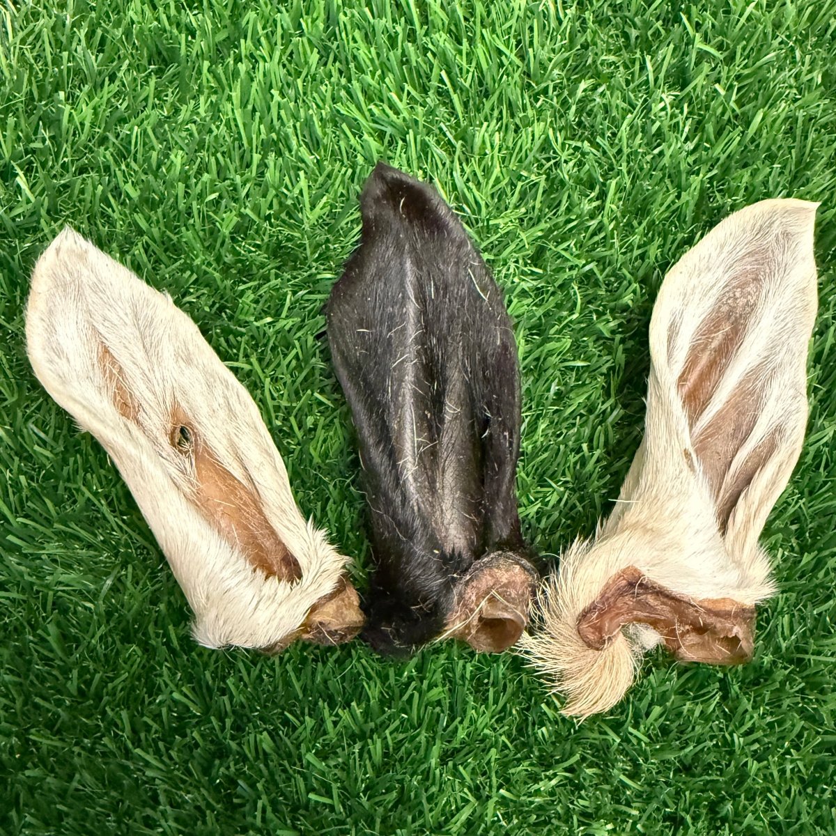 Lamb Hairy Ear Chew for Dogs – Limited - Golden Nibbles
