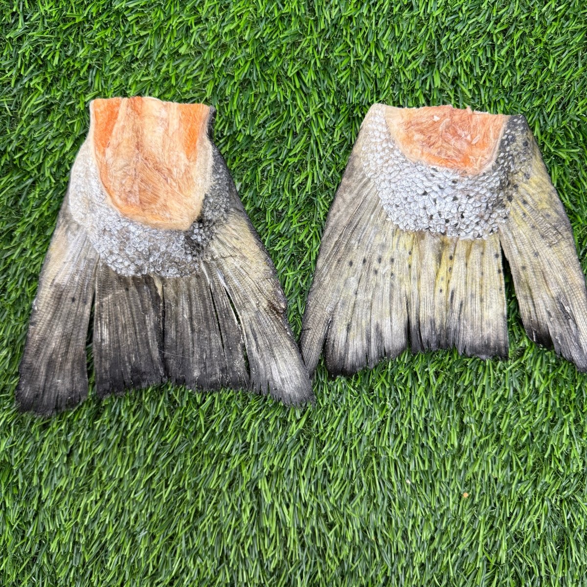 Freeze-Dried Salmon Tails