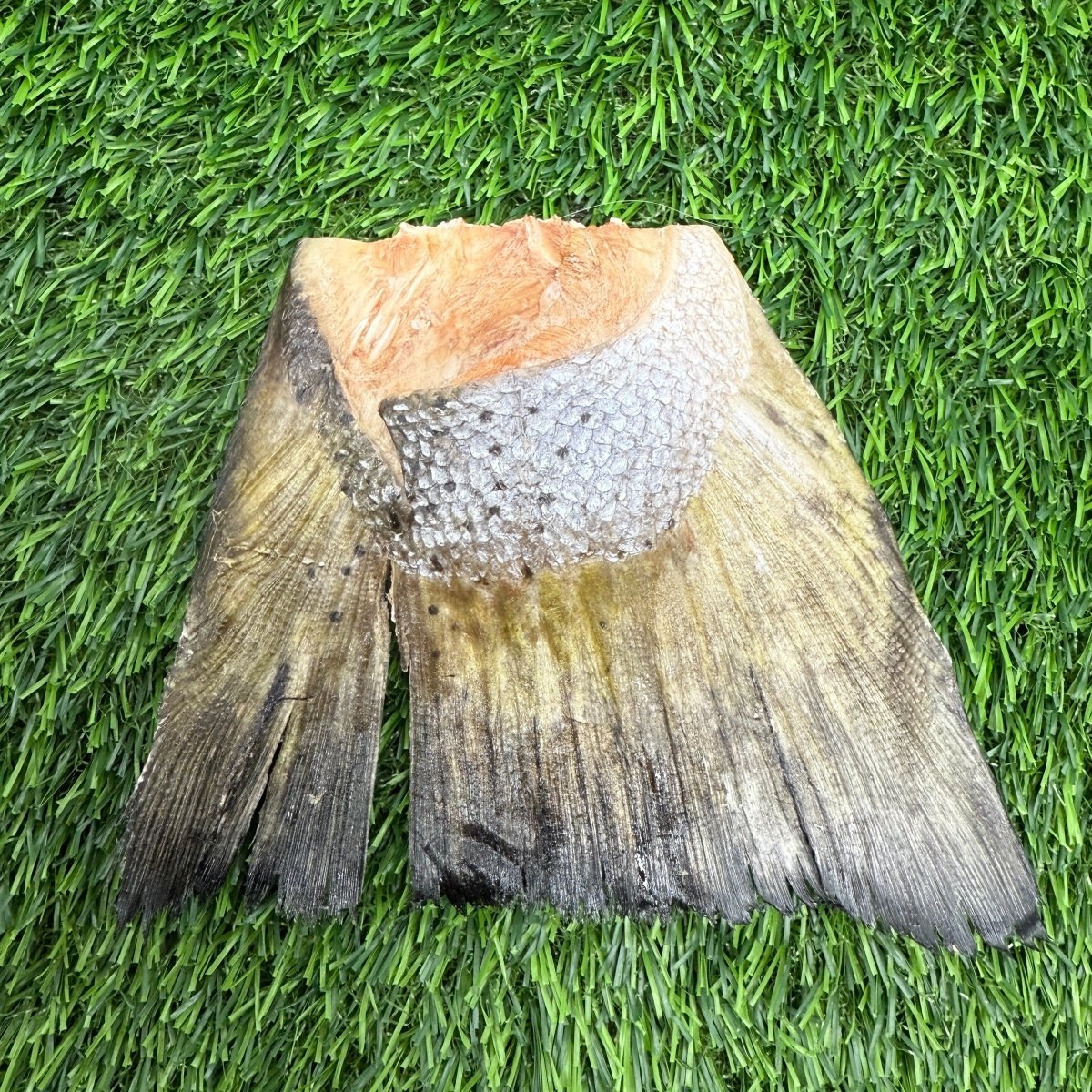 Freeze-Dried Salmon Tails