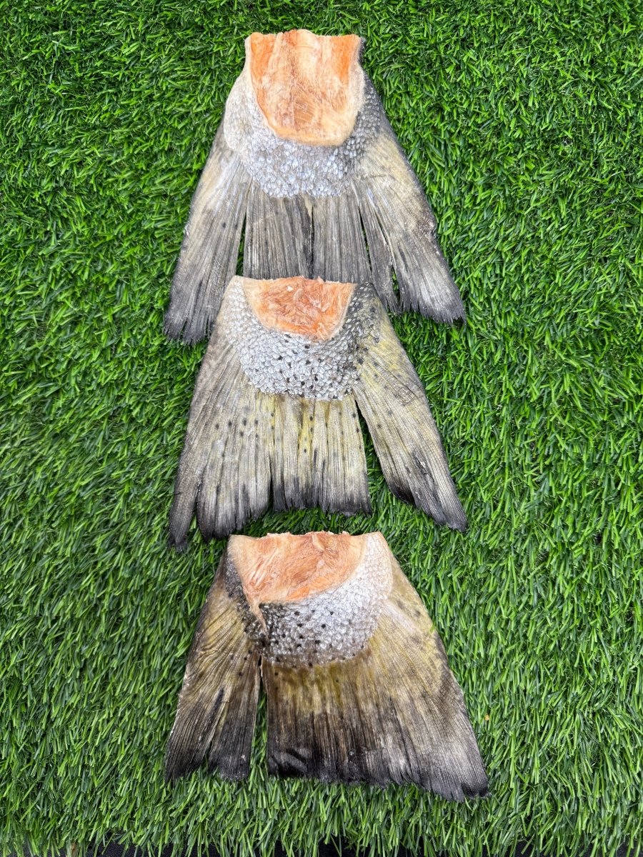 Freeze-Dried Salmon Tails
