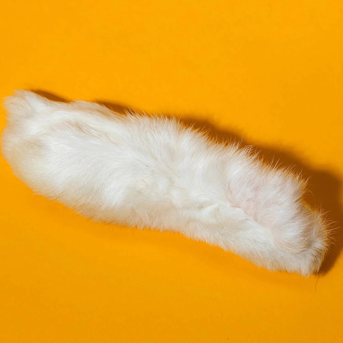 Freeze-Dried Rabbit Back Feet Large Treats for Dogs & Cats - Individual - Golden Nibbles