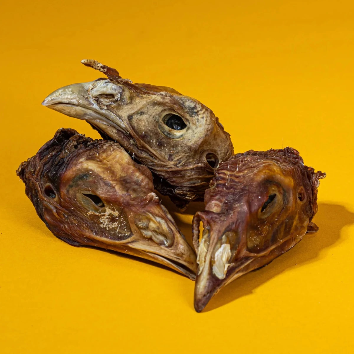 Turkey Head - Limited - Golden Nibbles