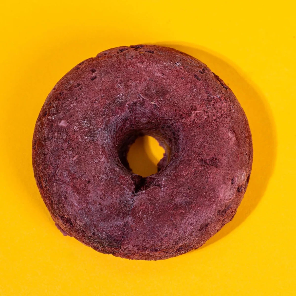 Freeze-Dried Turkey & Cranberry Donut Treat for Dogs & Cats - Golden Nibbles