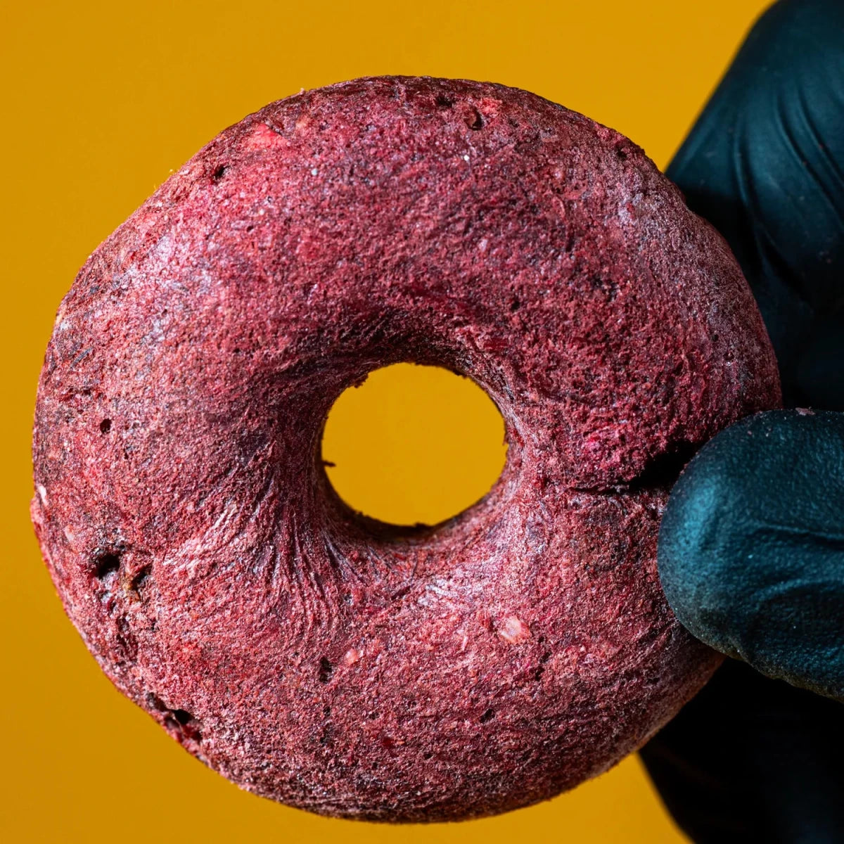 Freeze-Dried Turkey & Cranberry Donut Treat for Dogs & Cats - Golden Nibbles