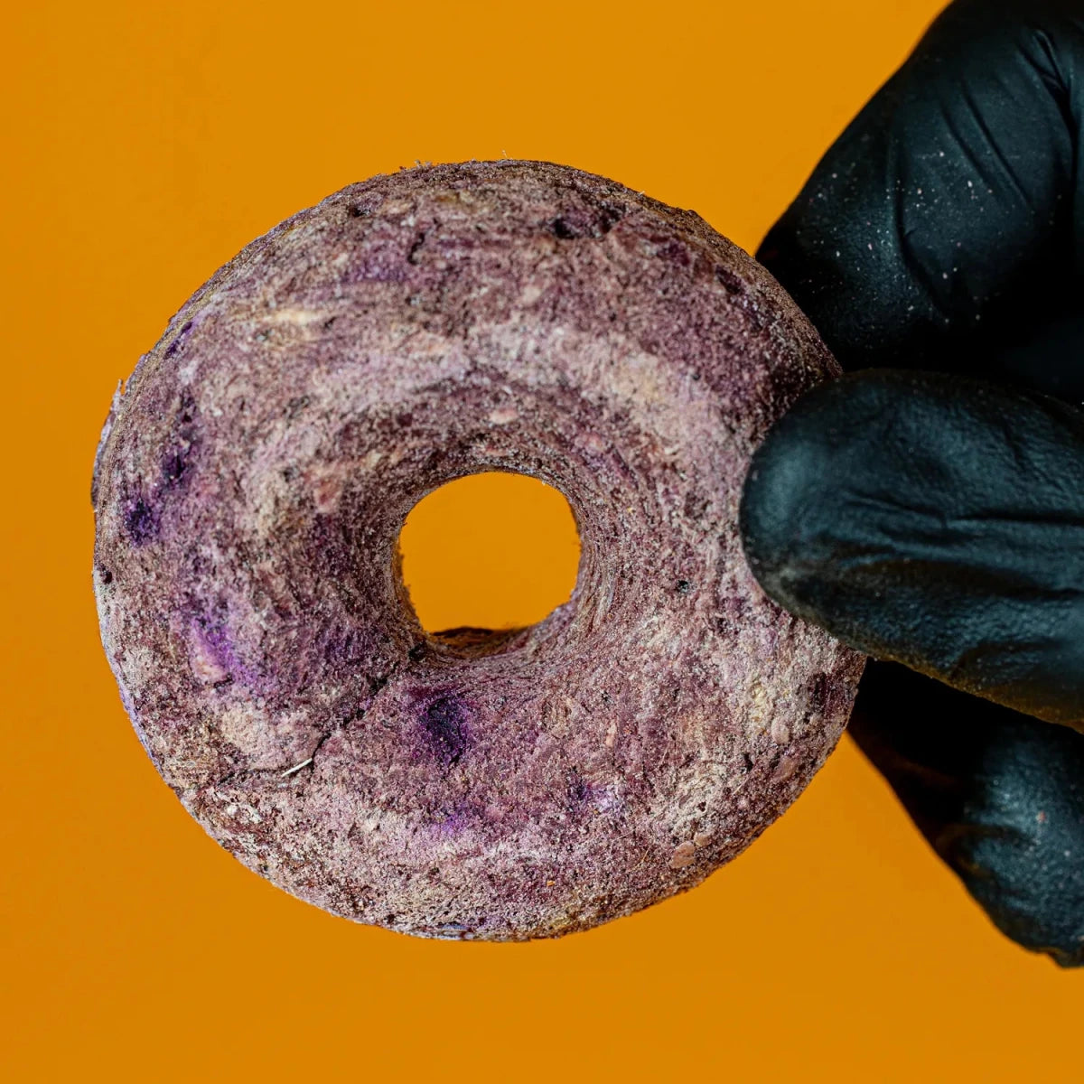 Freeze-Dried Venison & Purple Sweet Potato Donut Treat for Dogs & Cats - Golden Nibbles