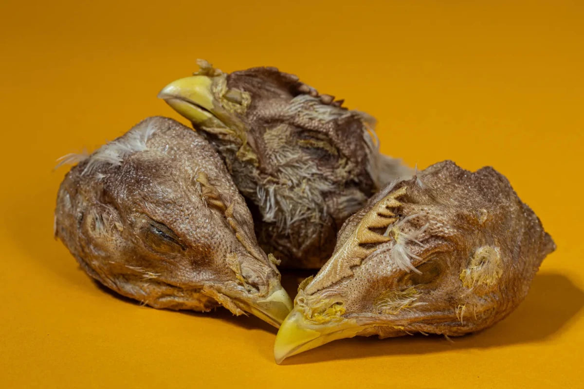 Freeze-Dried Chicken Heads Treats for Dogs & Cats - Individual - Golden Nibbles