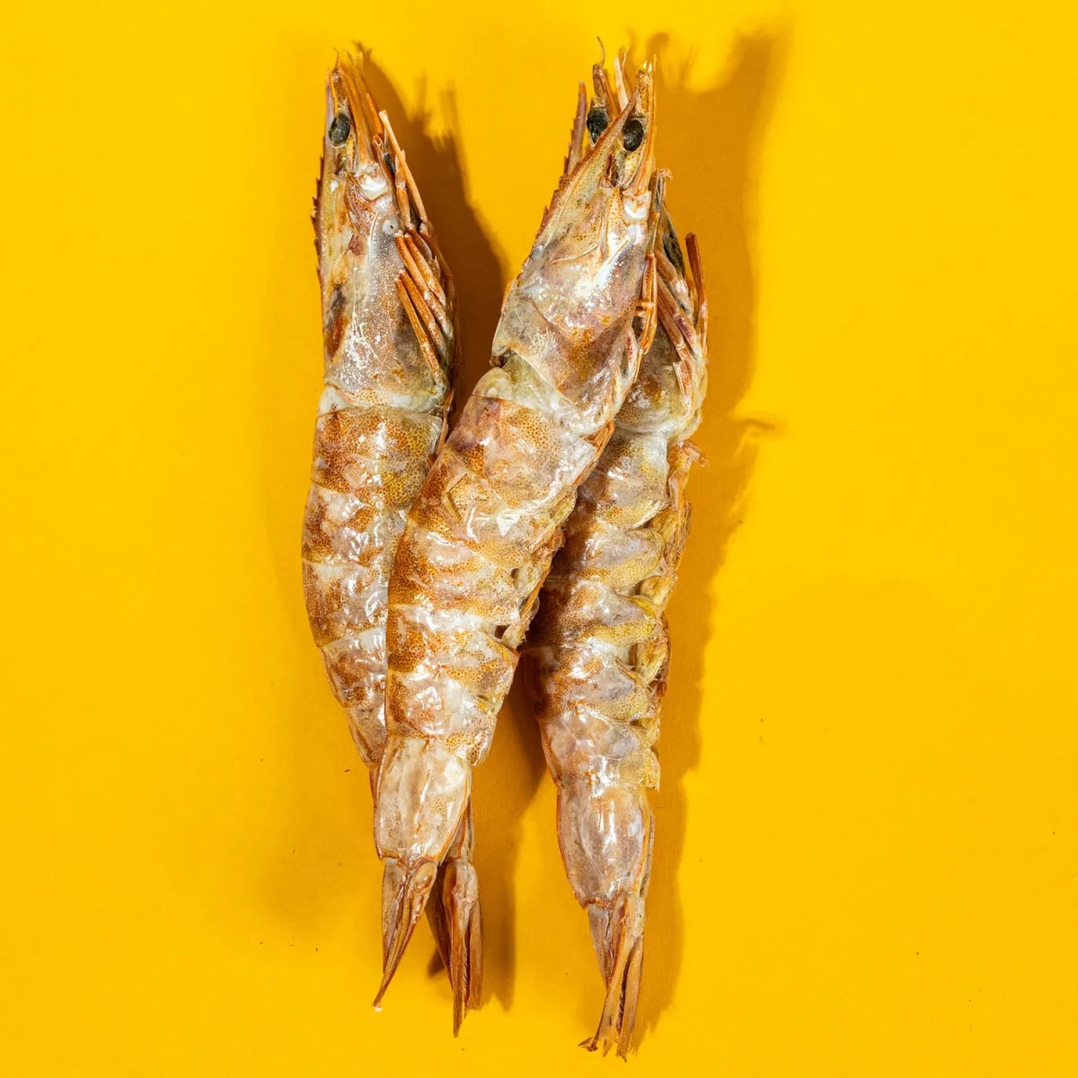 Freeze-Dried Prawns Treats for Dogs & Cats -Individual - Golden Nibbles