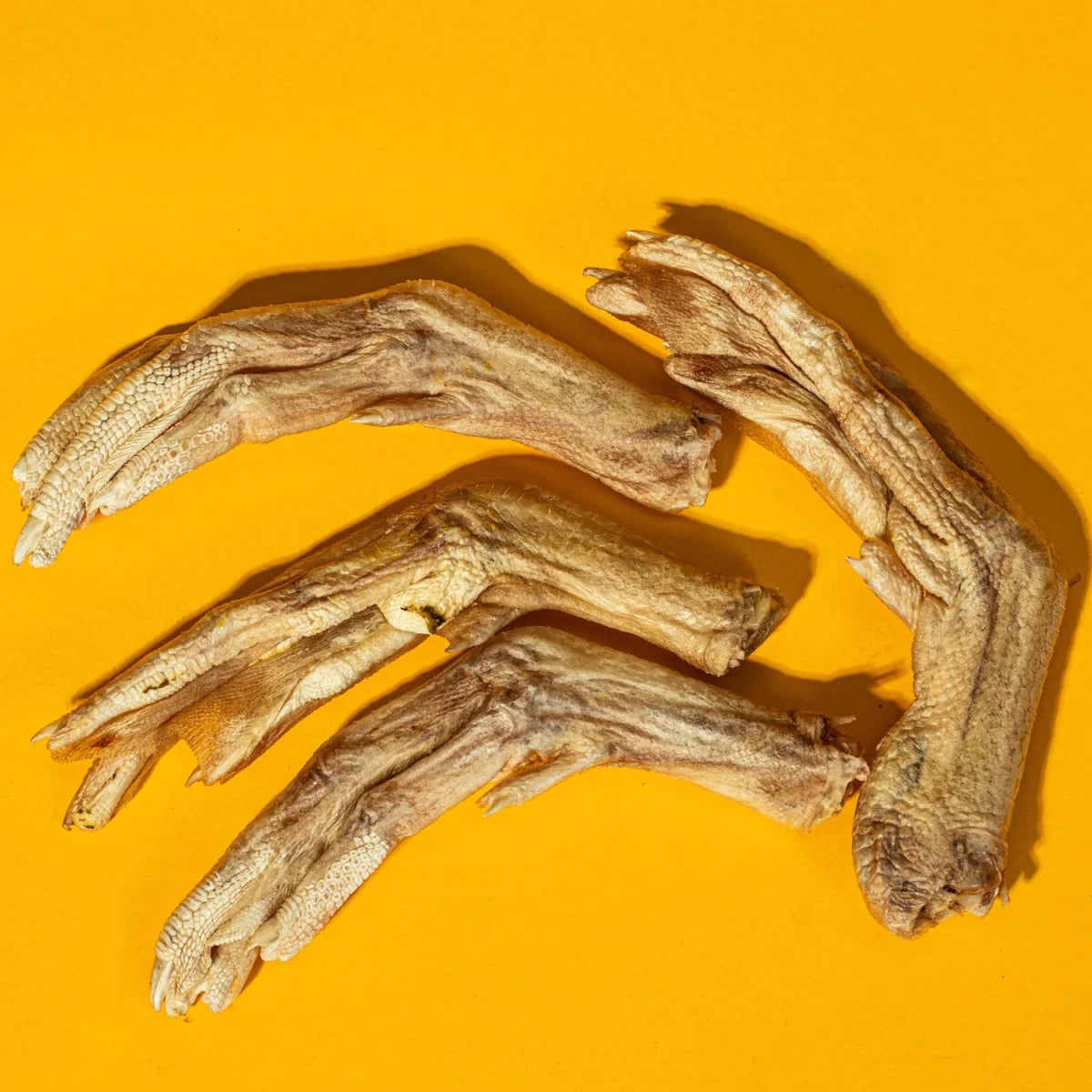 Freeze-Dried Duck Feet Individual Chew for Dogs - Individual - Golden Nibbles