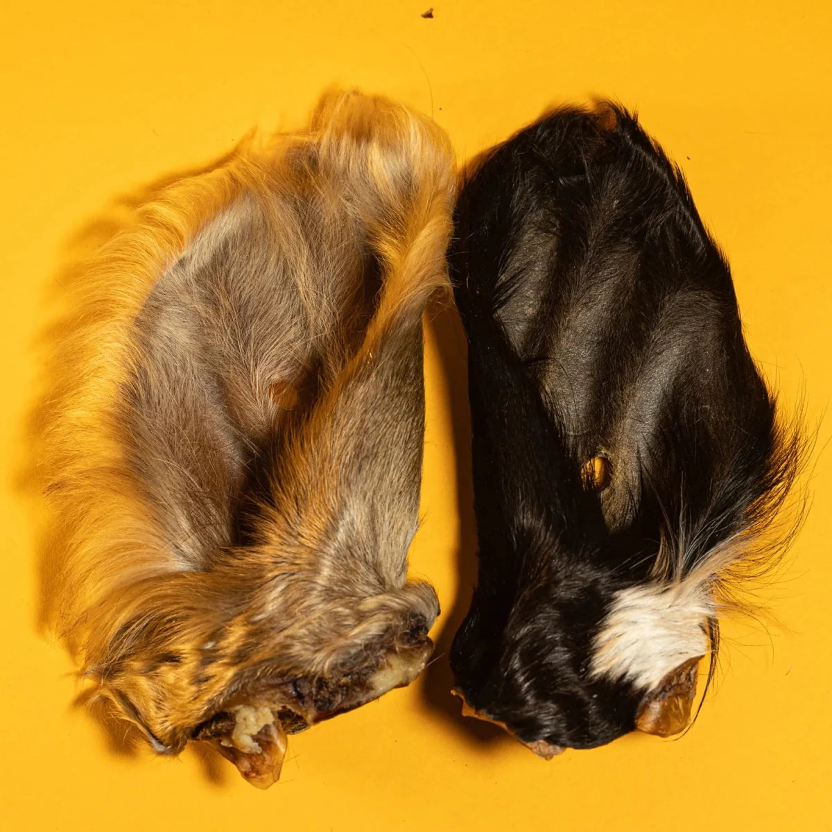 Beef Cow Hairy Ear Chew for Dogs - Dehydrated