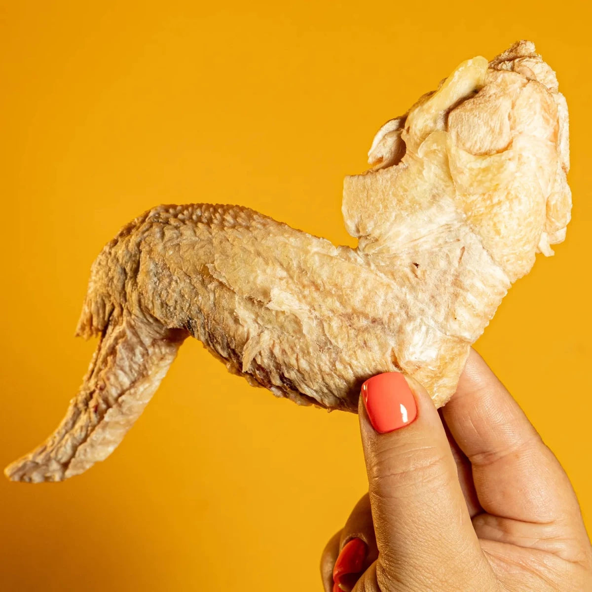 Freeze-Dried Chicken Wing Chew for Dogs - Golden Nibbles