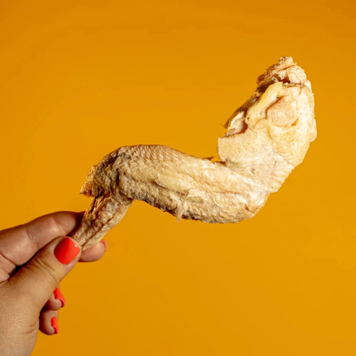 Freeze-Dried Chicken Wing Chew for Dogs - Golden Nibbles