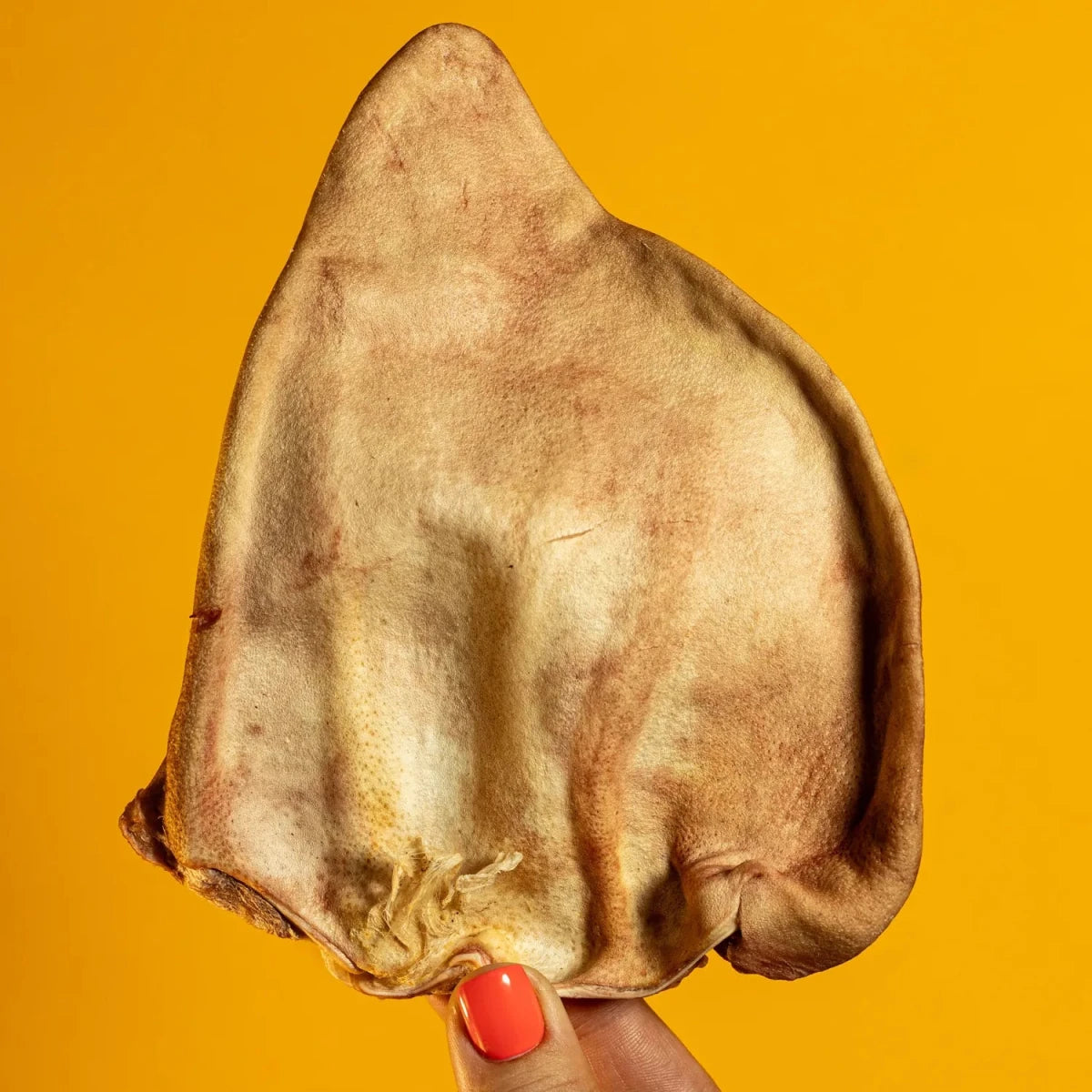Freeze-Dried Pig Ear Chew for Dogs - Golden Nibbles