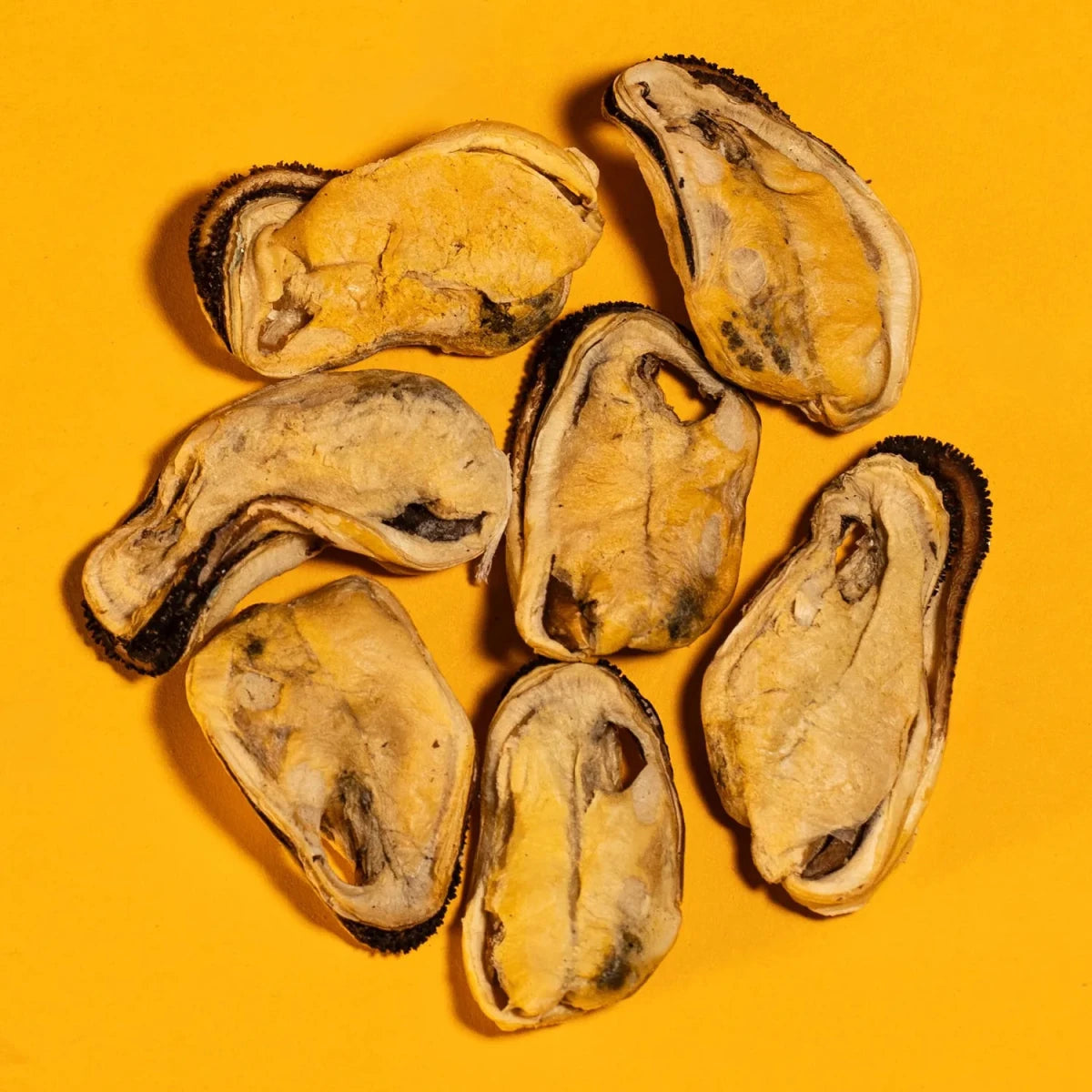 Freeze-Dried Green-Lipped Mussels for Dogs & Cats - Individual - Golden Nibbles