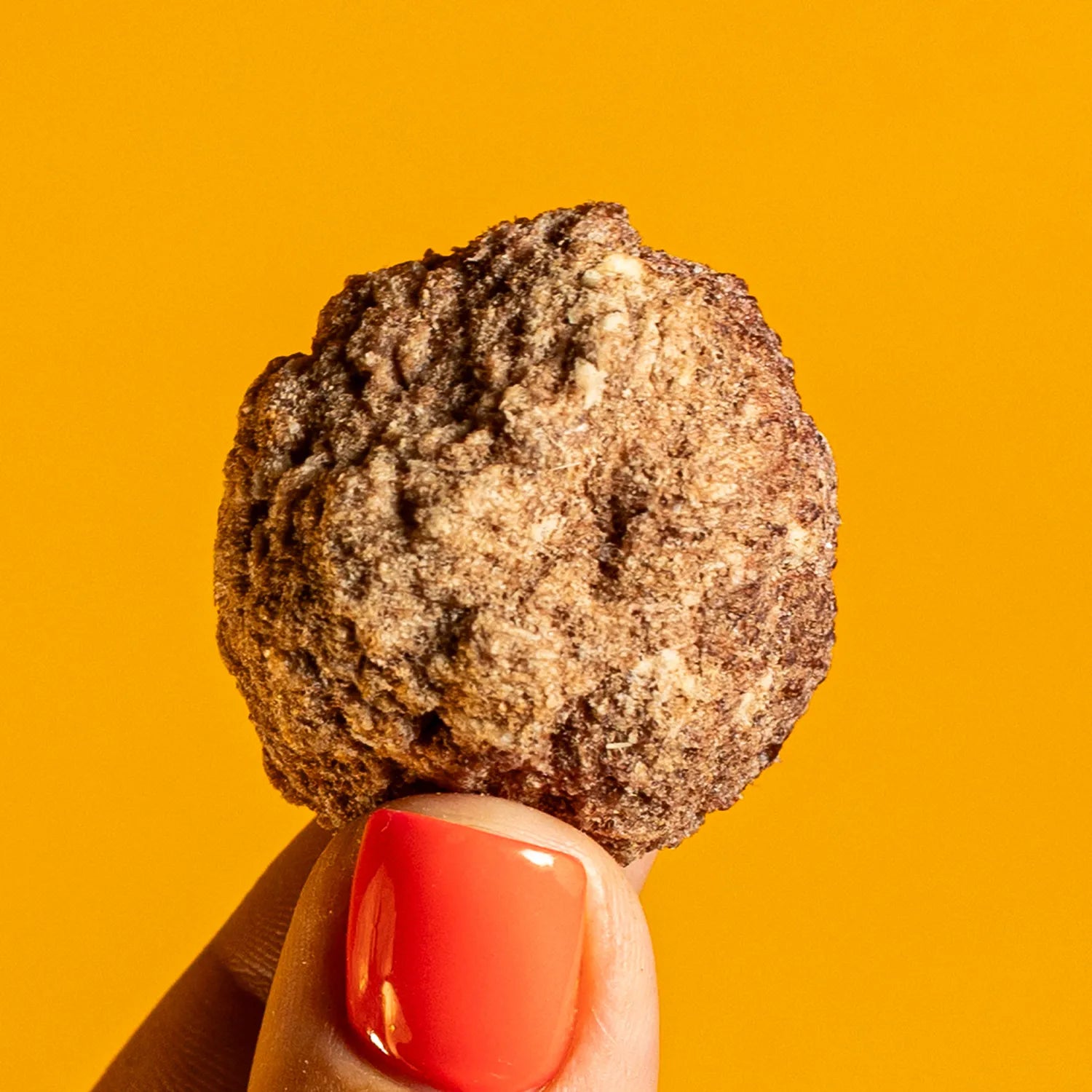 Freeze-Dried Meatballs Treats for Dogs & Cats