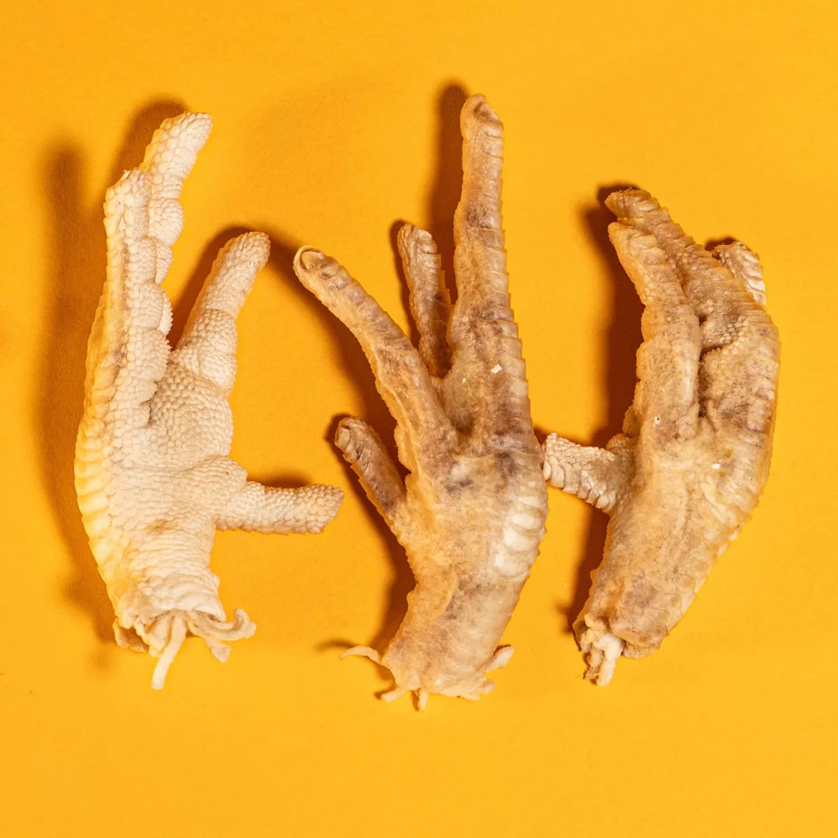 Freeze-Dried Chicken Feet Chews for Dogs - Individual - Golden Nibbles