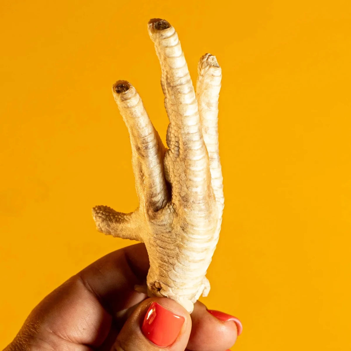 Freeze-Dried Chicken Feet Chews for Dogs - Individual - Golden Nibbles