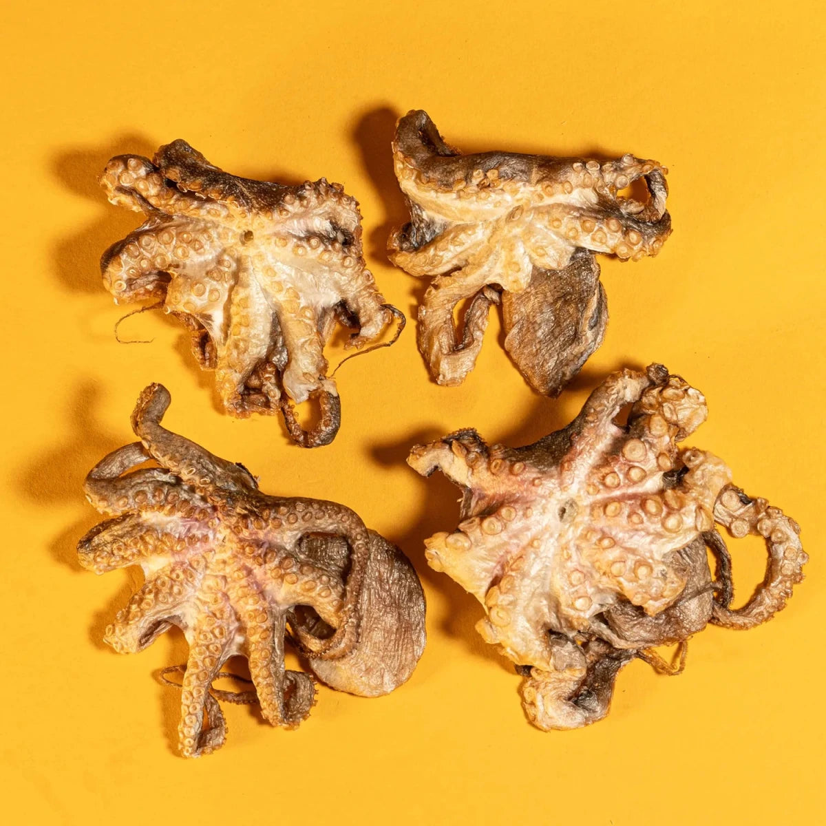 Freeze-Dried Baby Octopus Treat for Dogs & Cats - Individual - Golden Nibbles