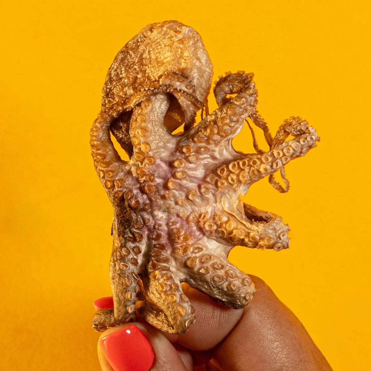Freeze-Dried Baby Octopus Treat for Dogs & Cats - Individual - Golden Nibbles