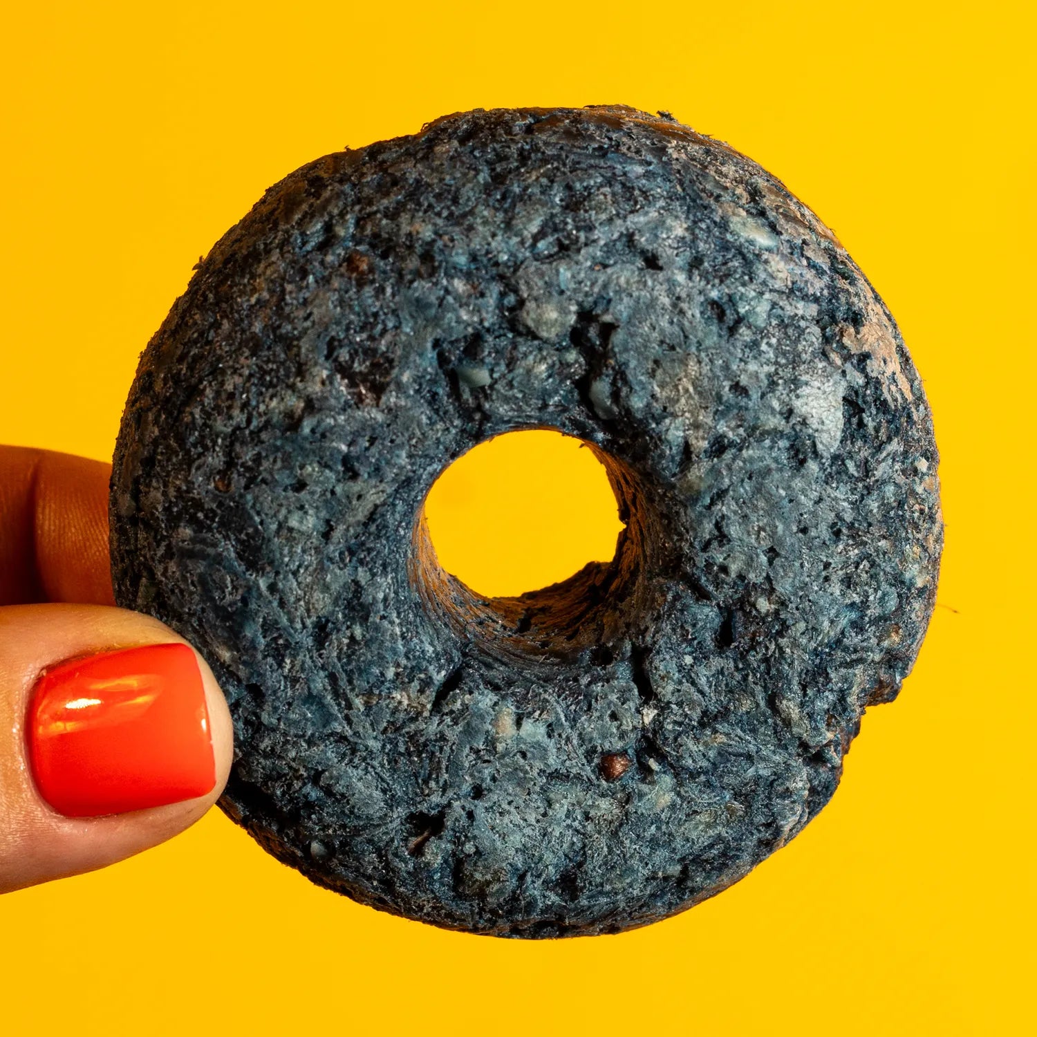 Freeze-Dried Duck & Spirulina Donut Treat for Dogs & Cats