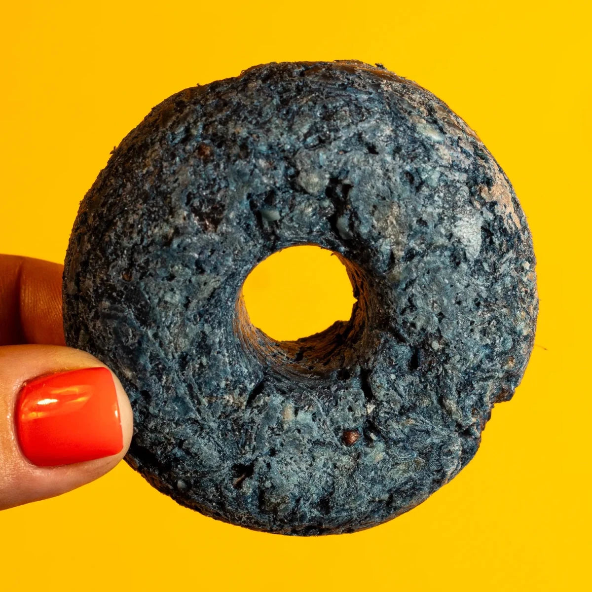 Freeze-Dried Duck & Spirulina Donut Treat for Dogs & Cats - Golden Nibbles