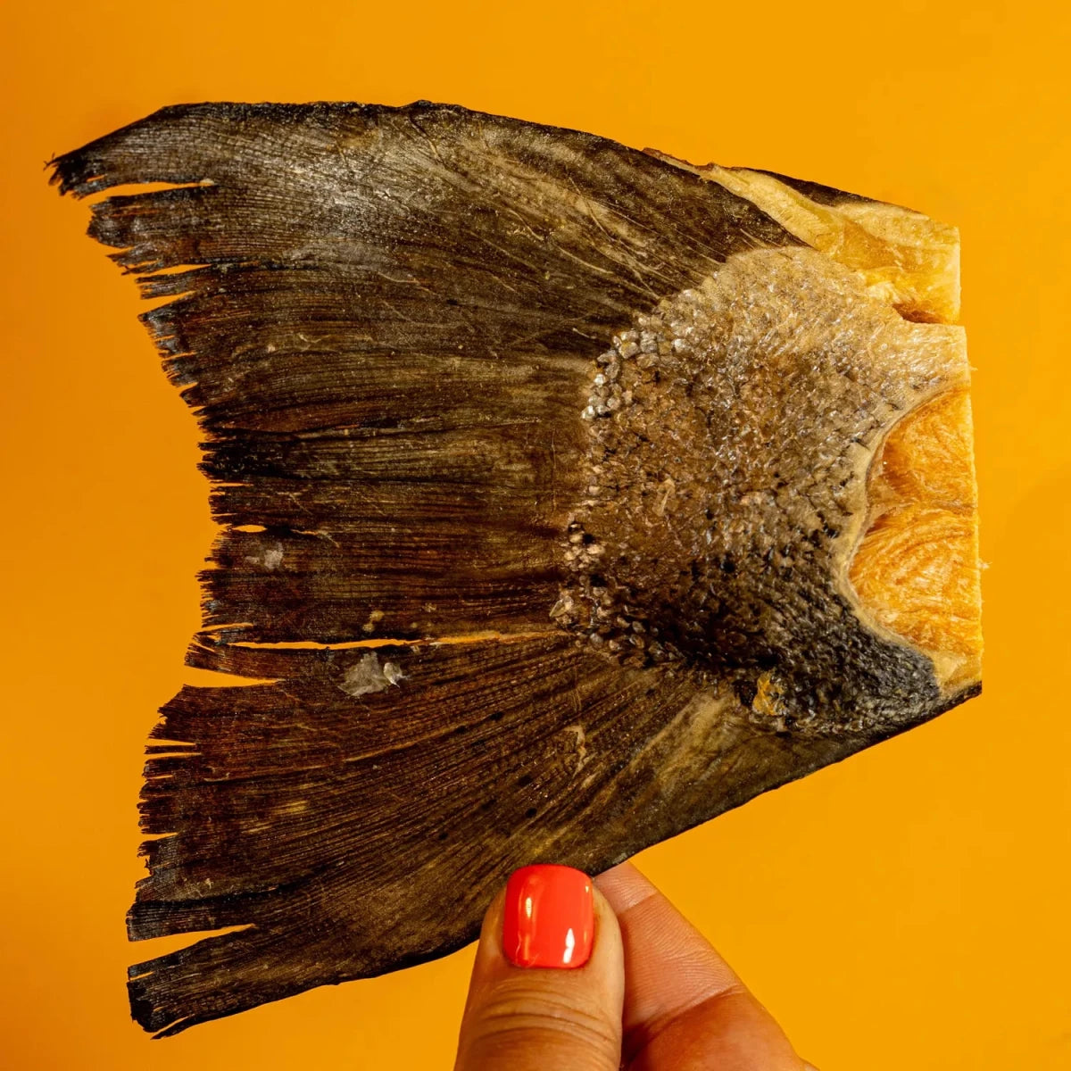 Freeze-Dried Salmon Tails Chews- Individual - Golden Nibbles