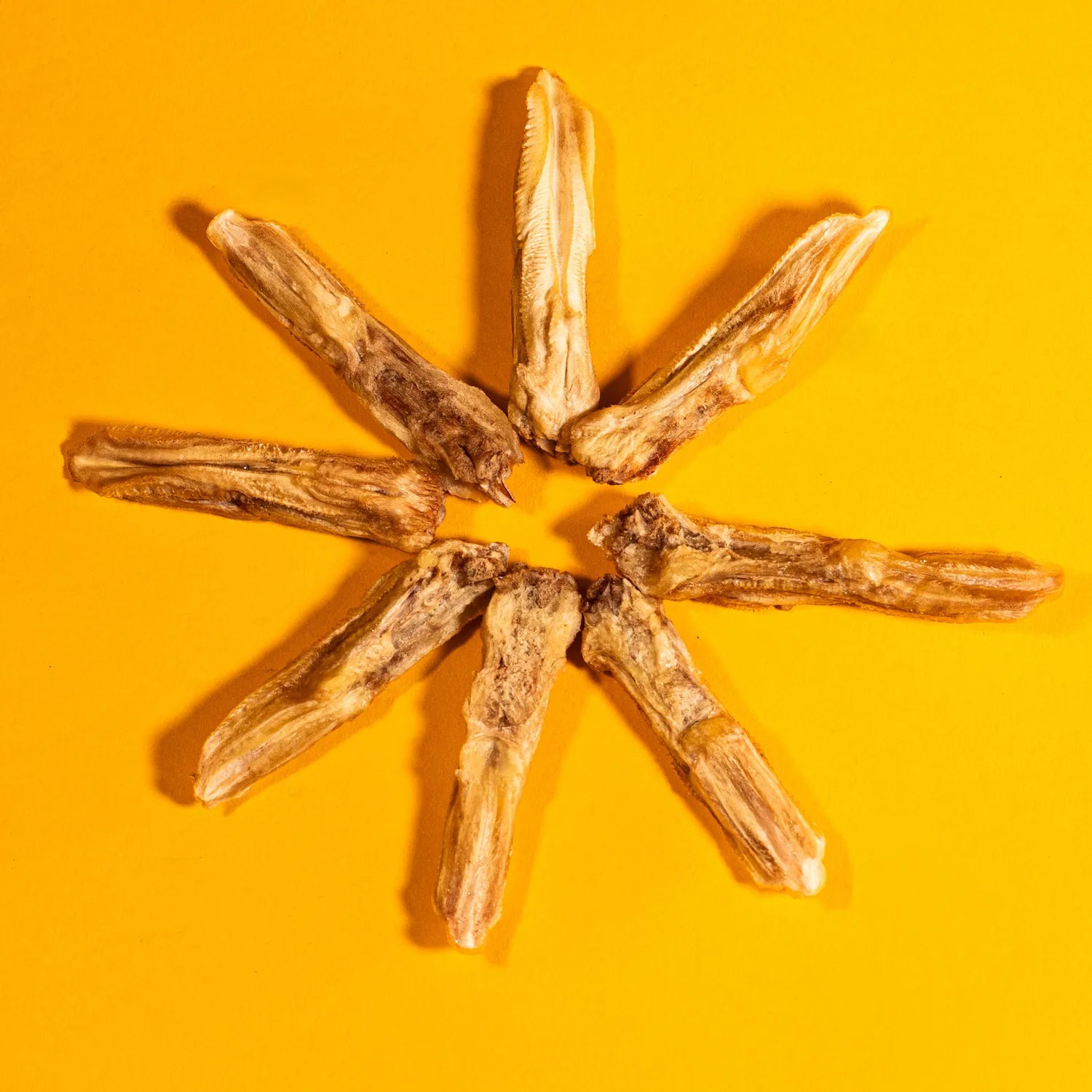 Freeze-Dried Duck Tongues Treats for Dogs & Cats