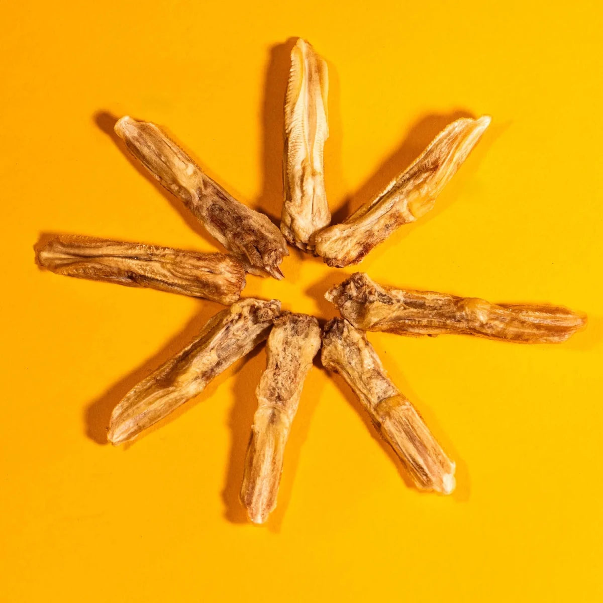 Freeze-Dried Duck Tongues Treats for Dogs & Cats - Individual - Golden Nibbles