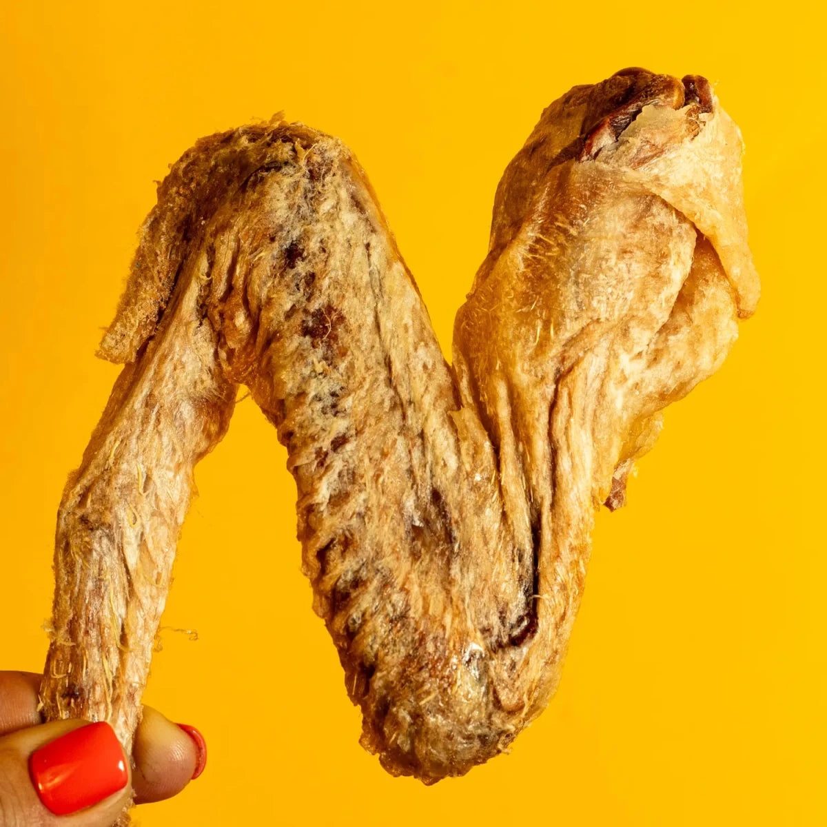 Freeze-Dried Duck Wing Chews for Dogs - Individual - Golden Nibbles
