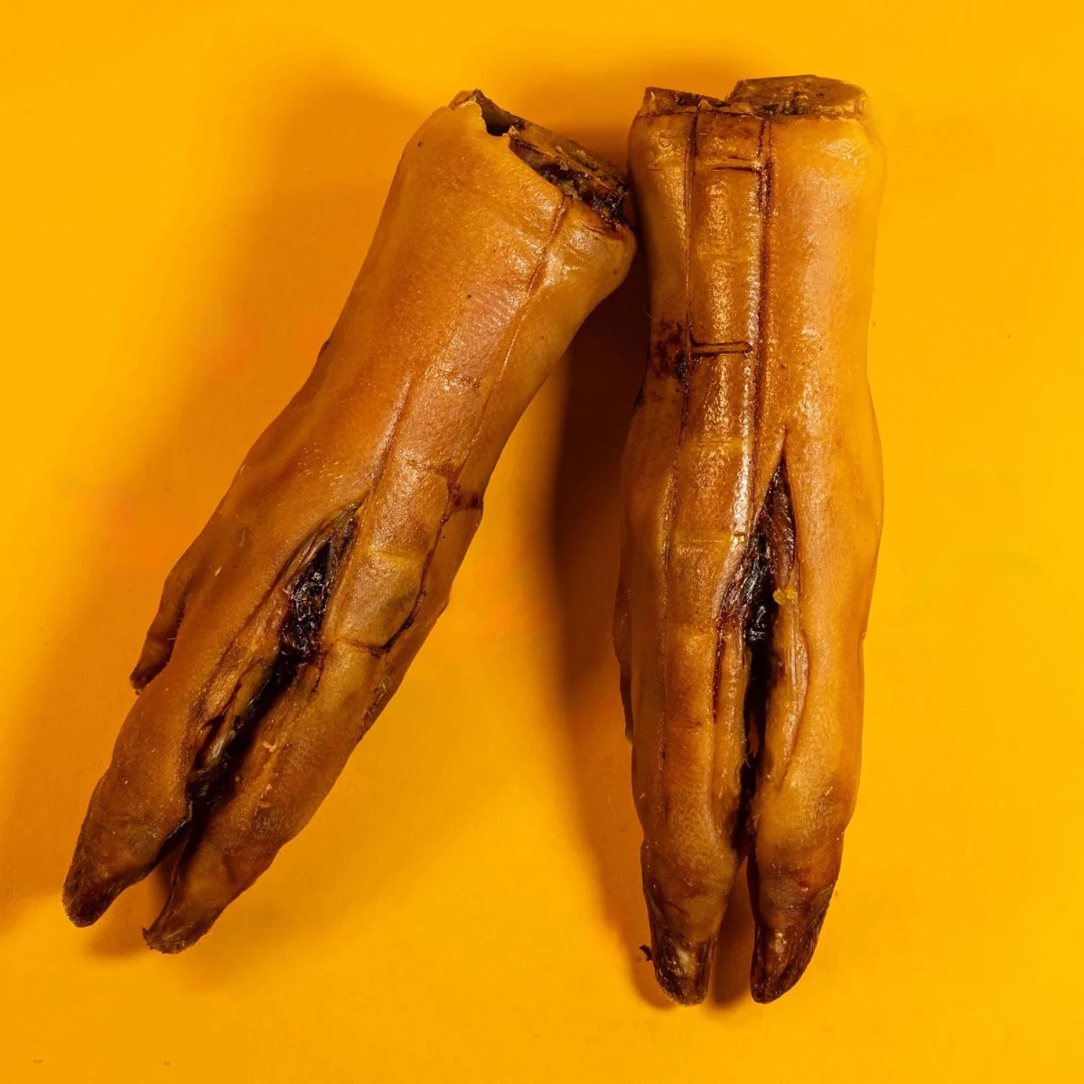Pork Trotters Chews for Dogs - Dehydrated - Golden Nibbles